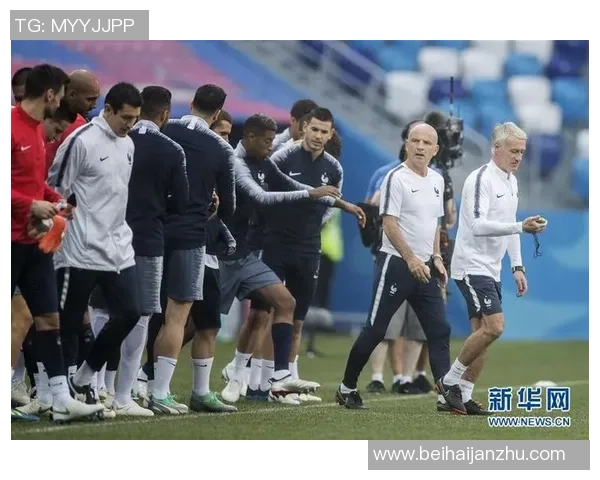 2006年世界杯经典对决荷兰队与塞黑队的激烈较量回顾